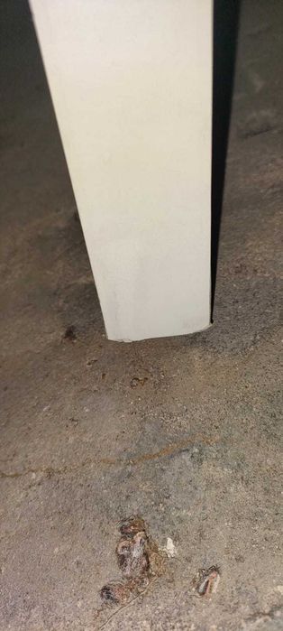 Drzwi wewnętrzne dwie sztuki