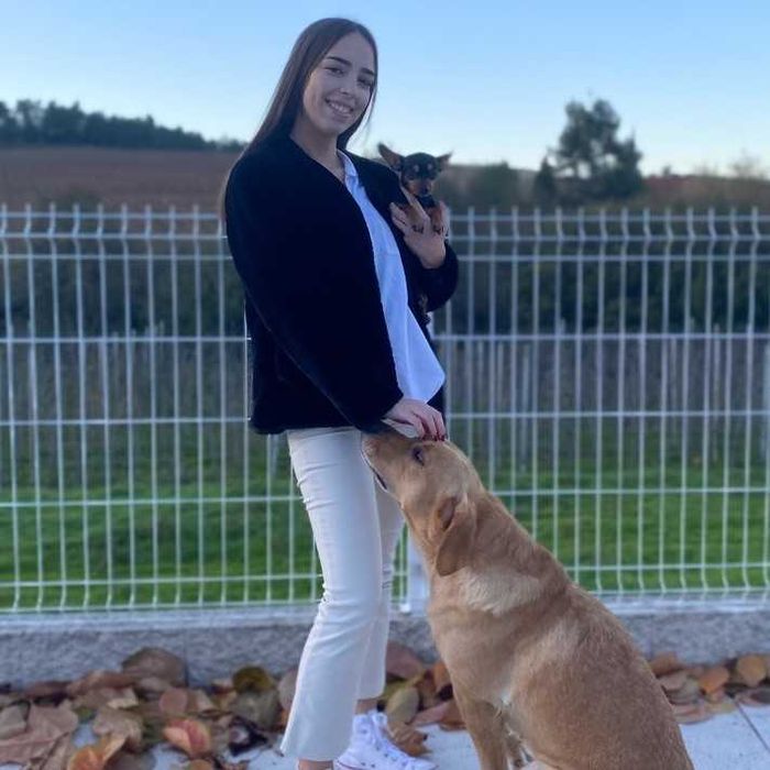 Pet sitting - Cães e gatos