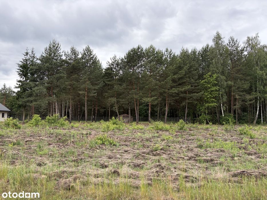 Leszno działka przy lesie - Widok 5