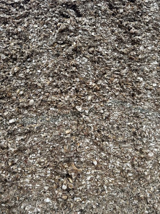 Kiszonka z kukurydzy