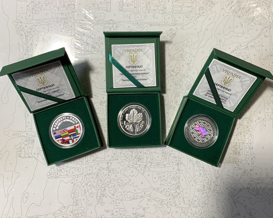 Срібна монета В єдності сила Ой у лузі калина Надання статусу 2022 р.