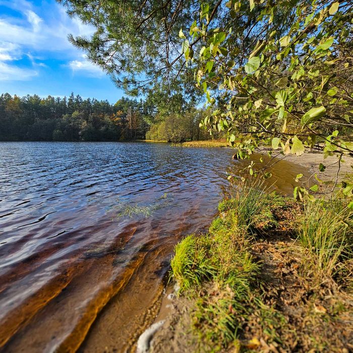 Sprzedam domek letniskowy nad jeziorem