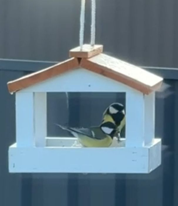 Годівничка для птахів