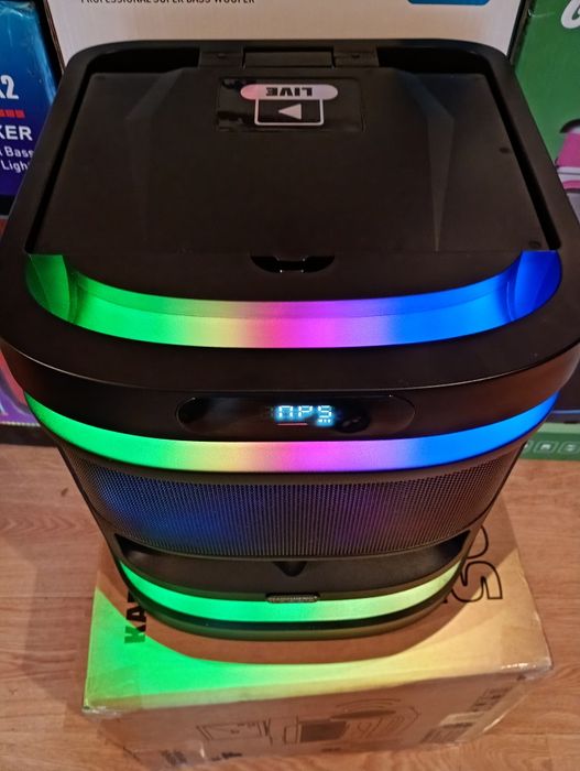 Блютуз караоке акустика Temeisheng-10(SD,USB,FM) пультДУ, 2микрофона