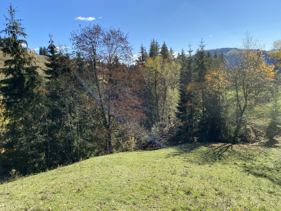 З двох сторін потічки. З трьох сторін дерева. Гарний заїзд