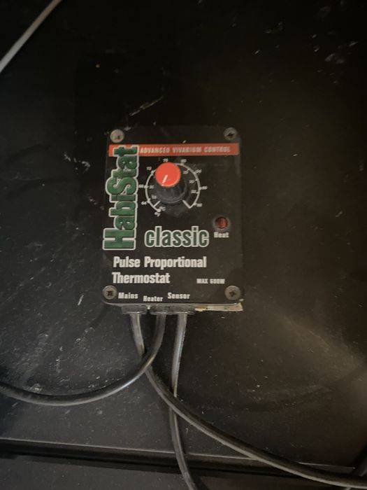 Inkubator Habistat wąż gekon