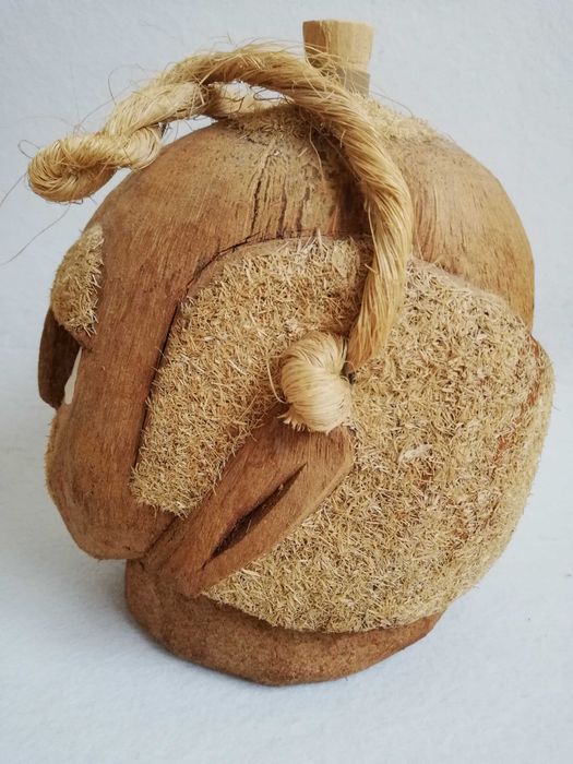Garrafa em coco brasil