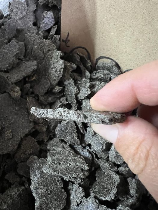 Макуха соняшникова