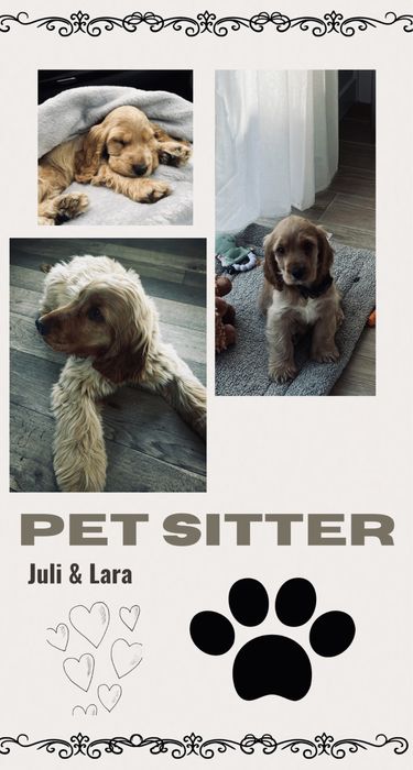 Pet Sitter — Lisboa