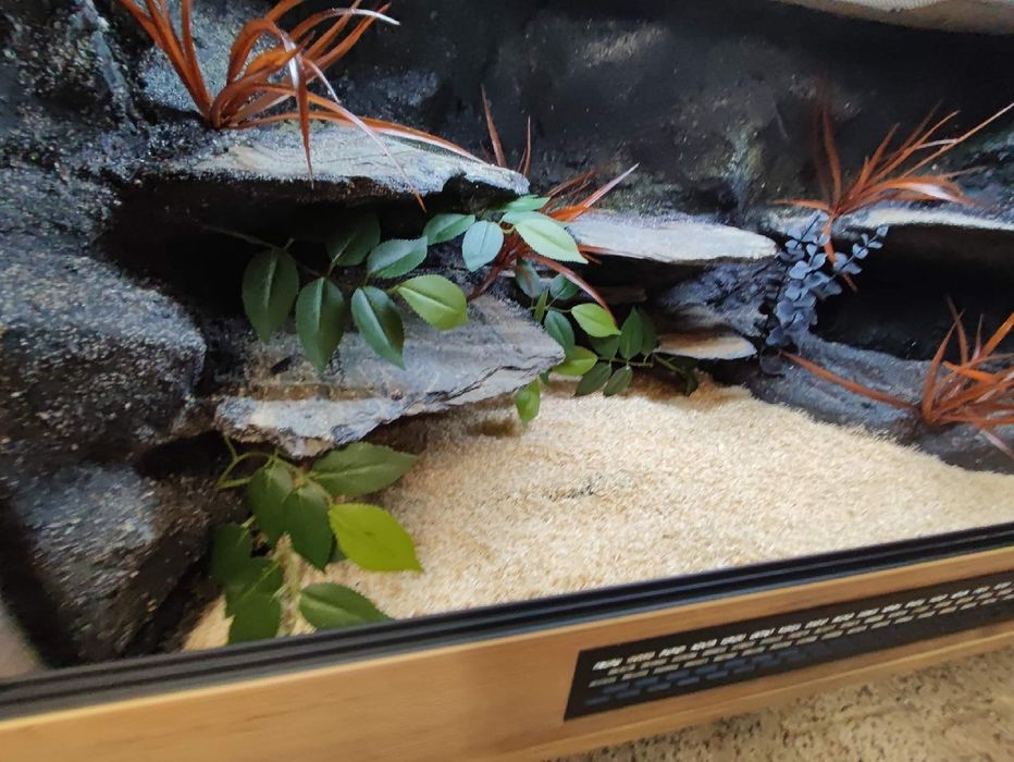 Terrarium 100x50x50 z płyty meblowej wąż pyton boa KOŚCIAN