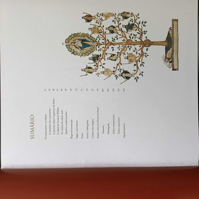 História do Brazil de Frei Vicente do Salvador - Maria Lêda Oliveira