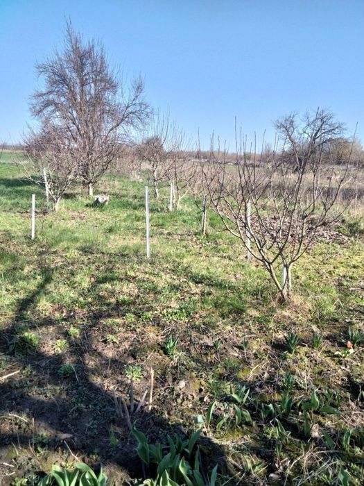 Продам будинок в селі Тополі Козелецького району Чернігівської області
