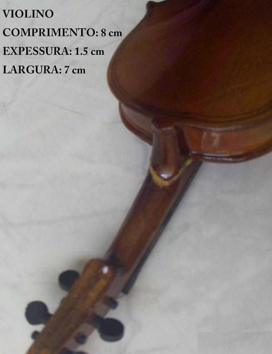 Viola e Violino em miniatura