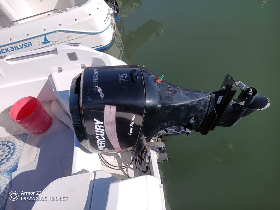 Barco Quicksilver 500 T com reboque/livrete