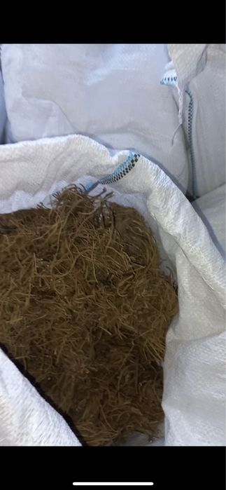 Сухий корінь валеряни