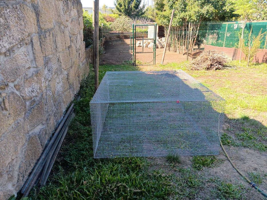 Gaiola/viveiro/voadeira NOVA de maio