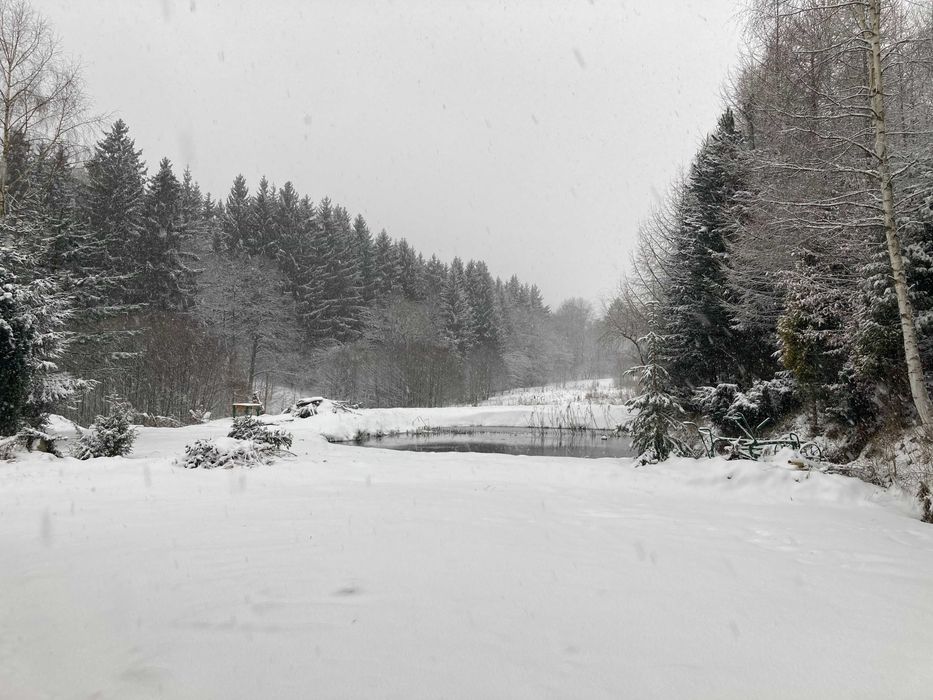 Wynajmę dom w górach Sowich (do 12 osób) na Ferie 2026