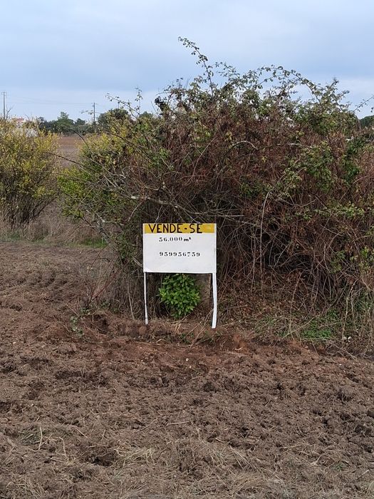 Terreno com 36.000m2