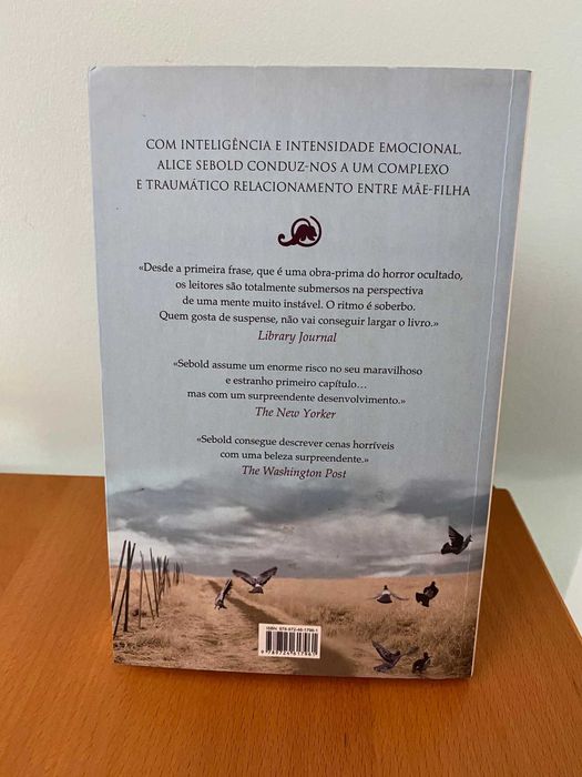 Visto da Lua - Alice Sebold
