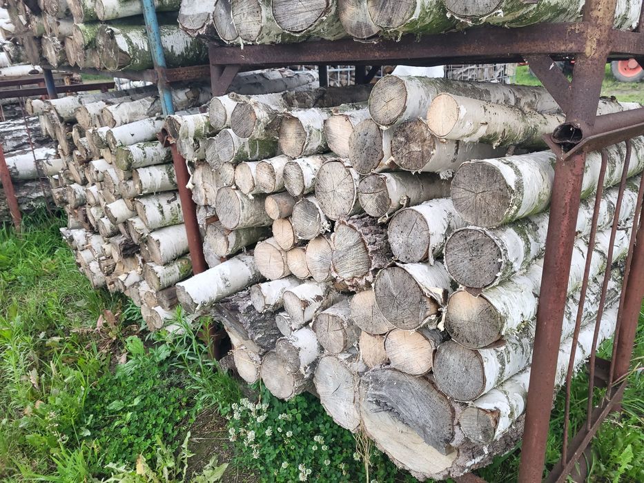 Drewno na opał / kominkowe suche Brzoza