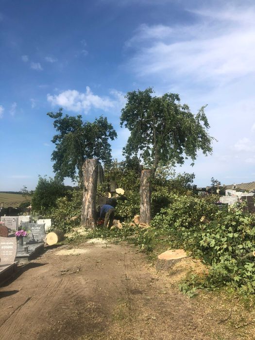 Dźwig Liebherr usługi wynajem podnośniki koszowe usługi dźwigowe