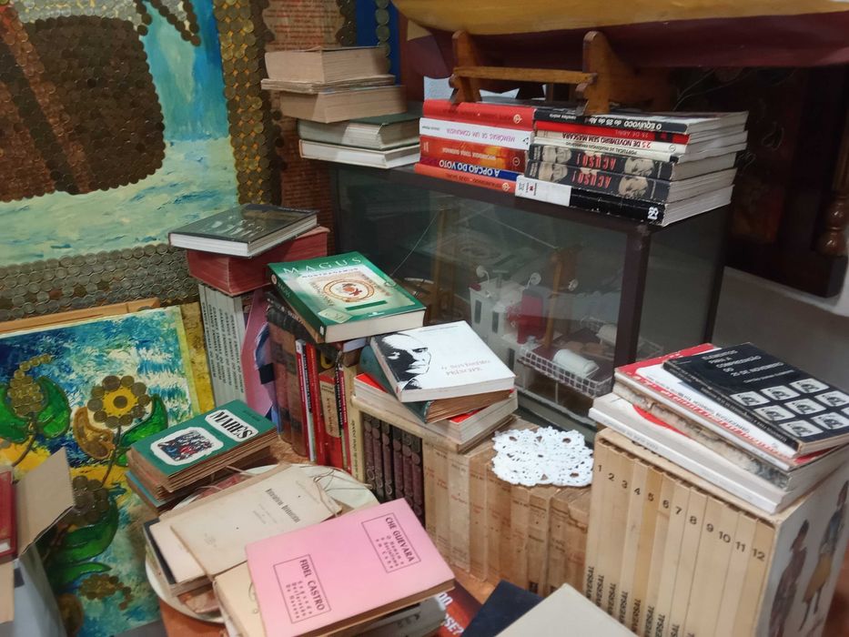 Livros 2.732, diversos, alguns raros e antigos, diversos autores,