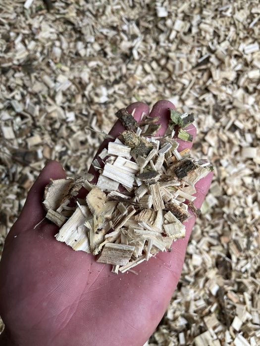 Zrębki  z transportem