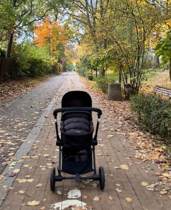 Wózek Cybex Basic Eos 2w1