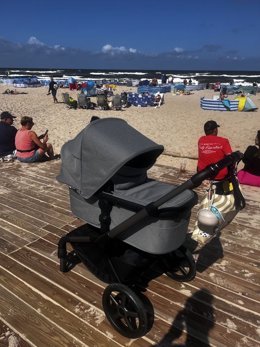Bugaboo Fox Reneew