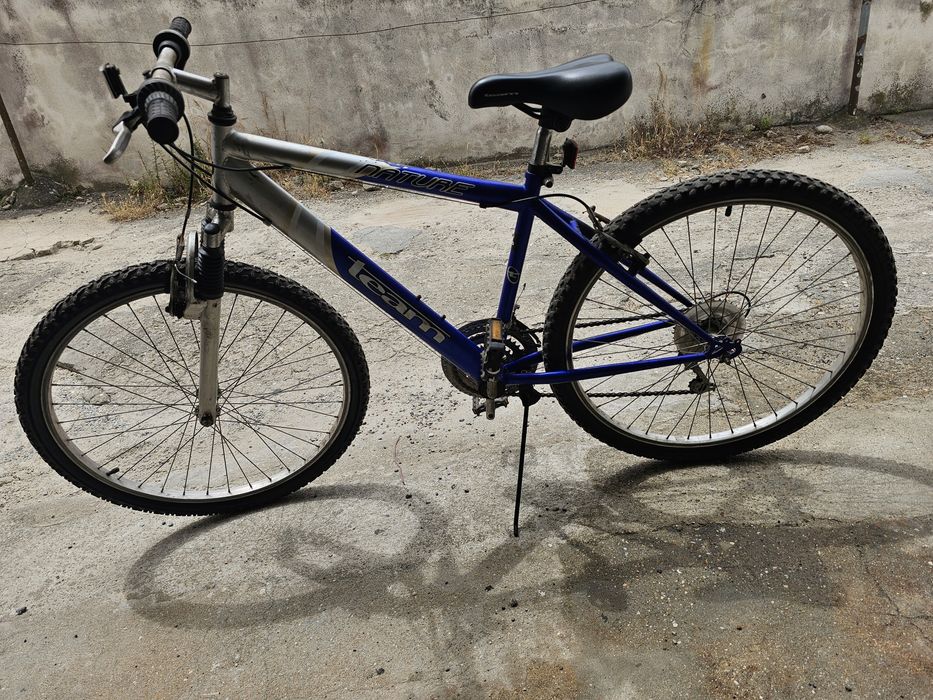 Bicicleta adulto