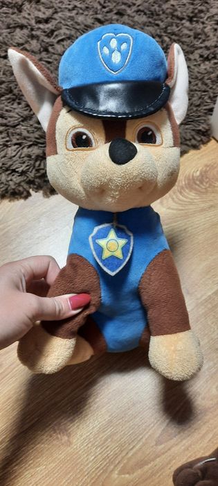 Щенячий патруль. Еверест Скай