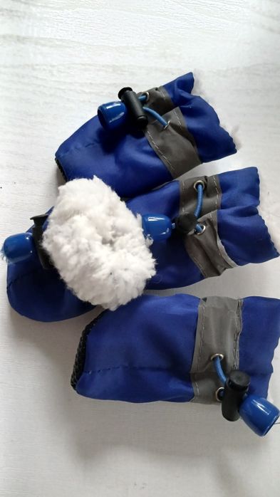 Zimowe butki dla małego pupila.