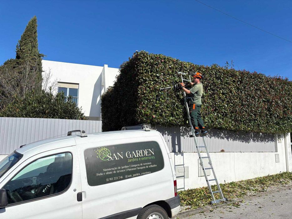 Serviços de Jardinagem | Cortes e Podas de árvores em altura