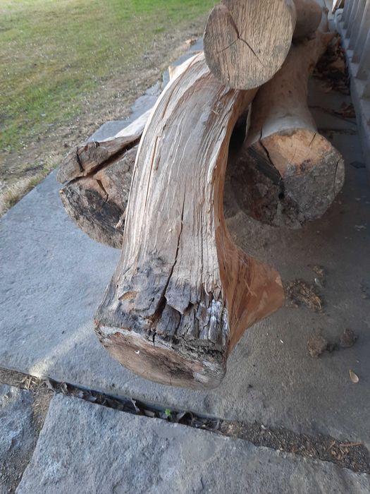 Sprzedam pnie jesionowe.