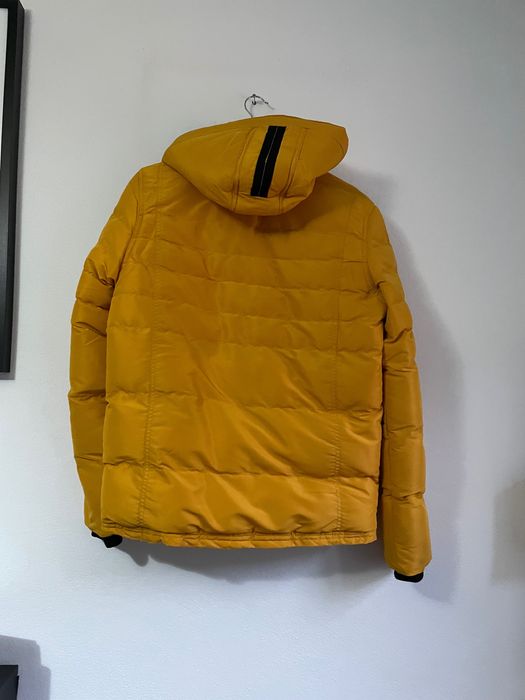 Quispo amarelo Tom Tom