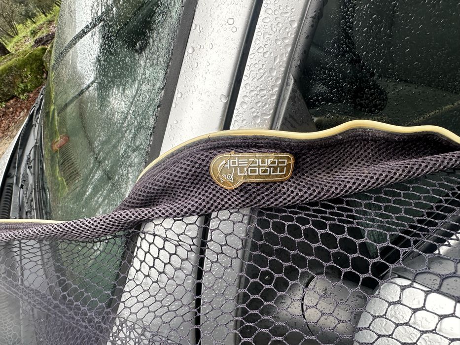 Camaroeiro carpfishing