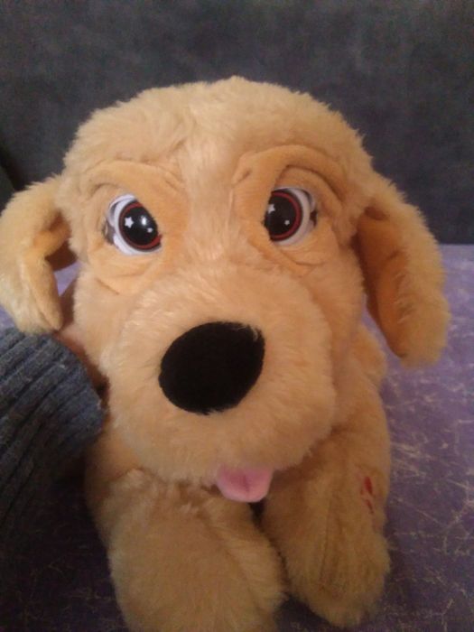 Музыкальные игрушки