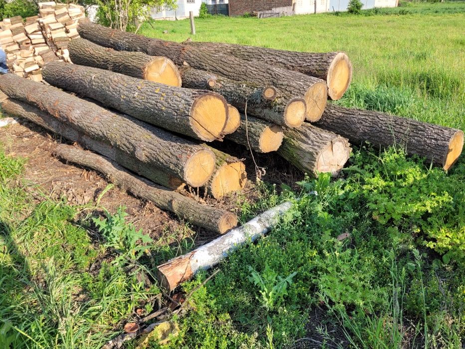 Sprzedam drzewo drewno dąb