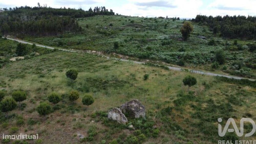 Terreno para construção em Seixo da Beira de 48000,00 m2