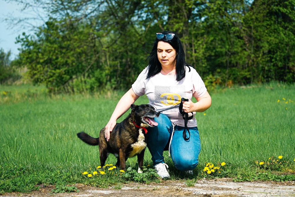 GRATIS - super fajny psiak szuka domu