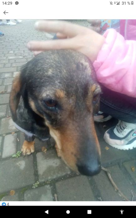 Потрібна допомога