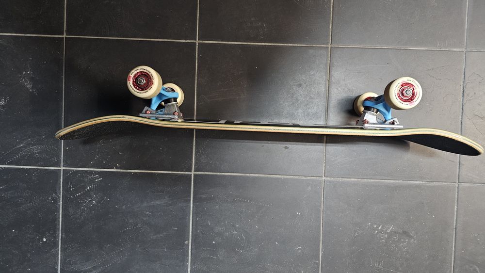 Skate Baker novo