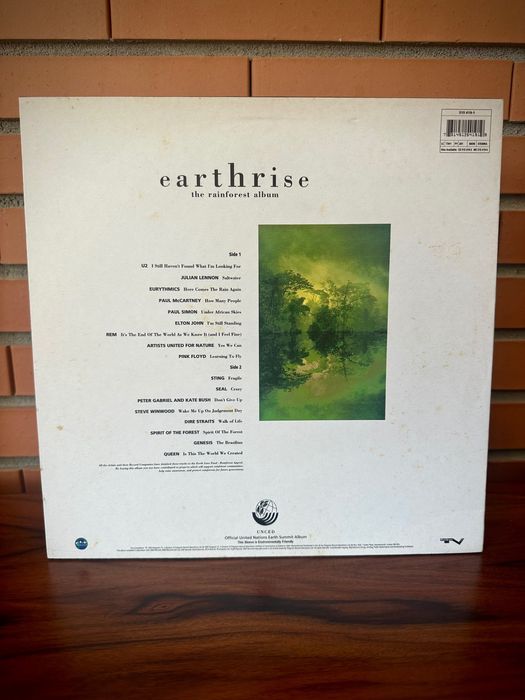 Disco vinil Earthrise