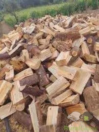 Lenha seca de pinho 1m³ 35€