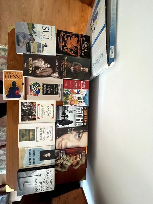 Conjunto de vários livros em bom estado