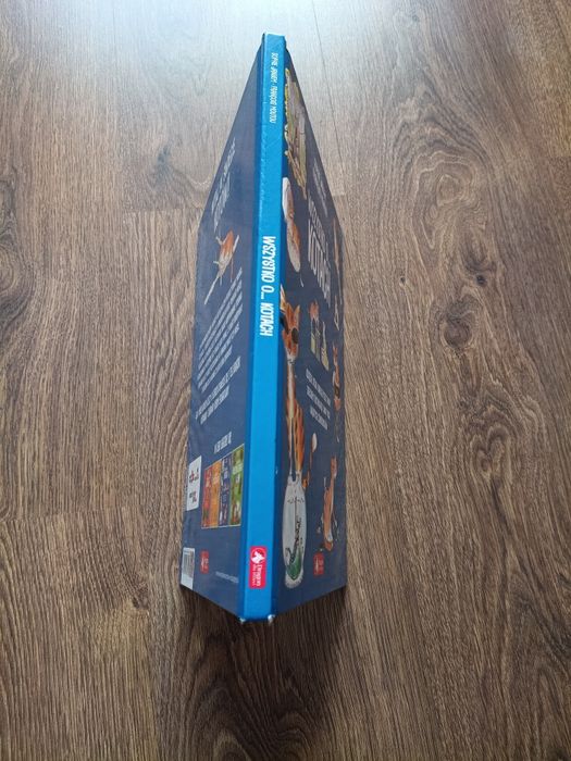 Książka Wszystko o . . . Kotach