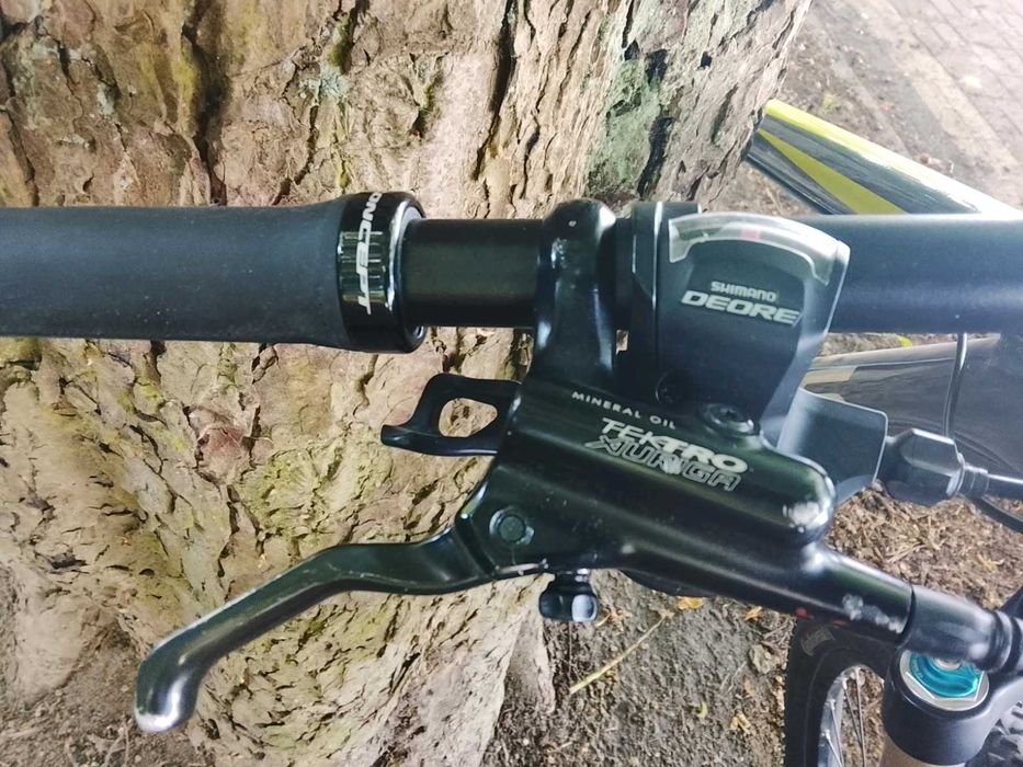 MTB Fokus black forest