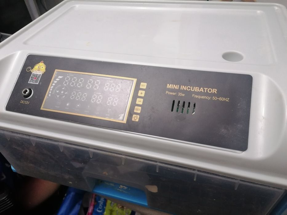 Chocadeira usada 24 ovos