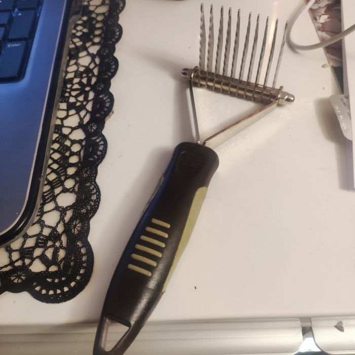 Trymer do czesania dla psa