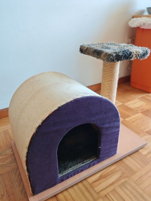 Casa e arranhador gatos